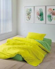 Sage - Yellow, Green - Yellow Green