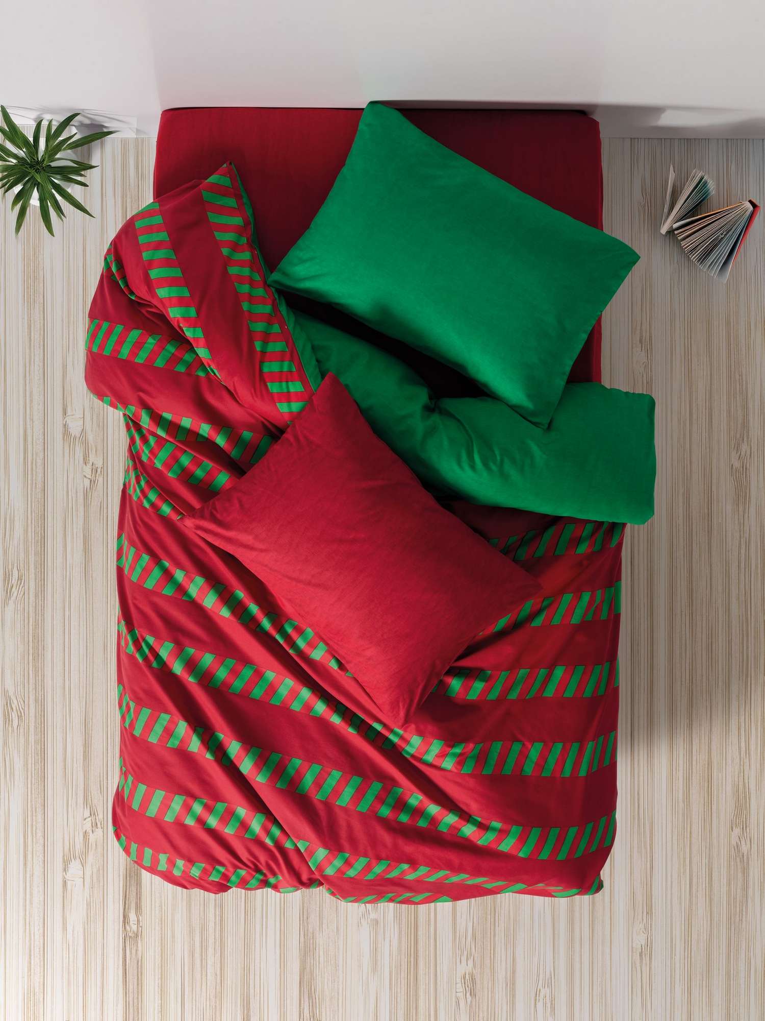 Holly - Green - Green Red