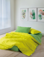 Sage - Yellow, Green - Yellow Green