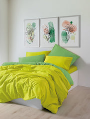 Sage - Yellow, Green - Yellow Green