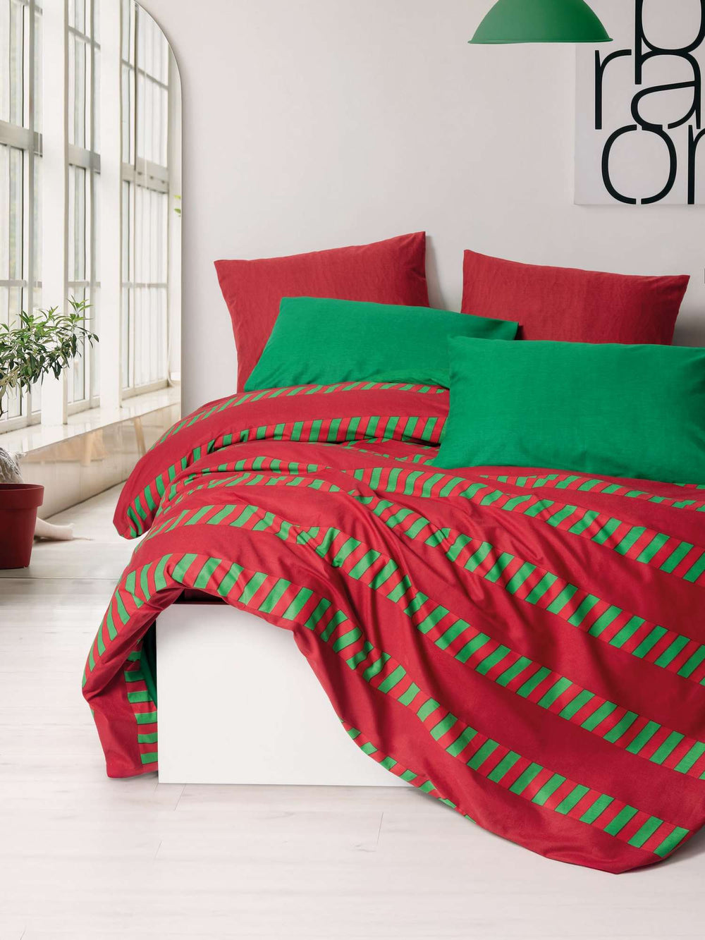 Holly - Green - Green Red