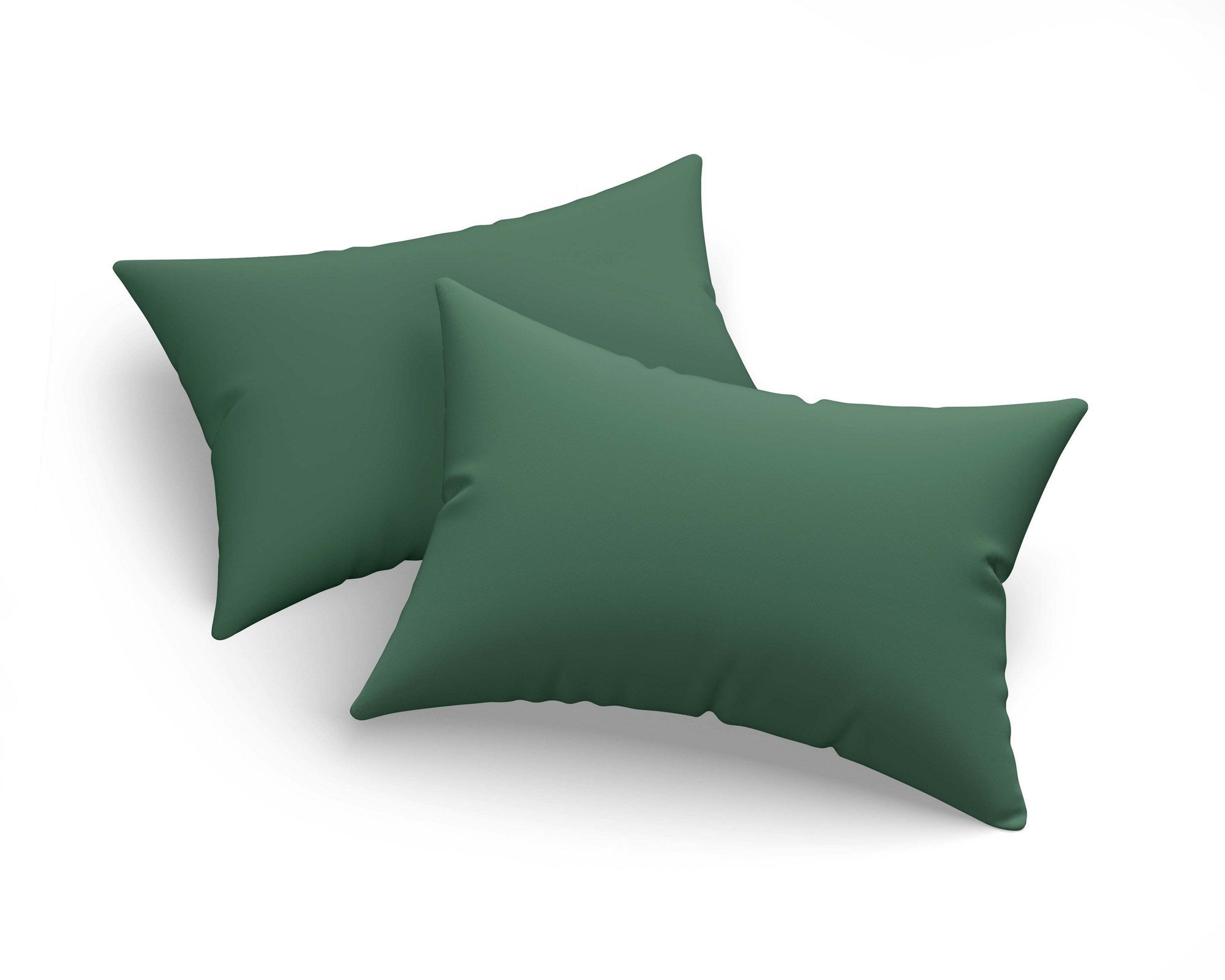 Monstera - Green v2