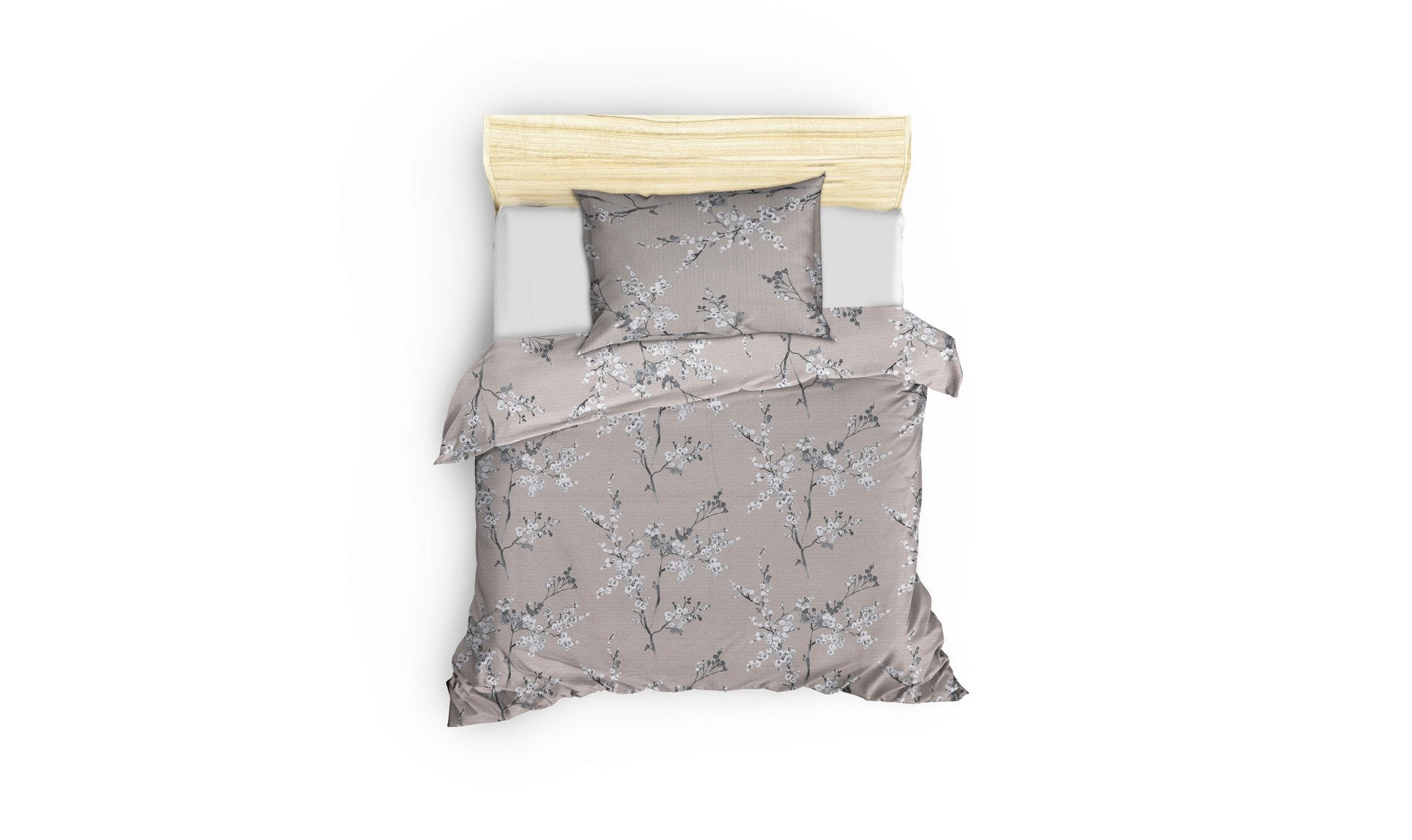 Chicory - Brown - Brown White