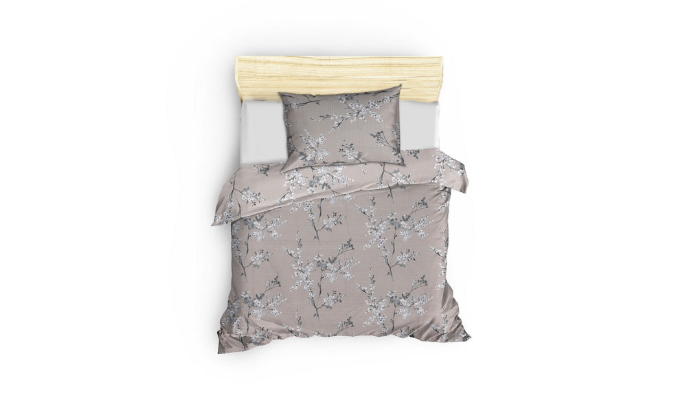 Chicory - Brown - Brown White